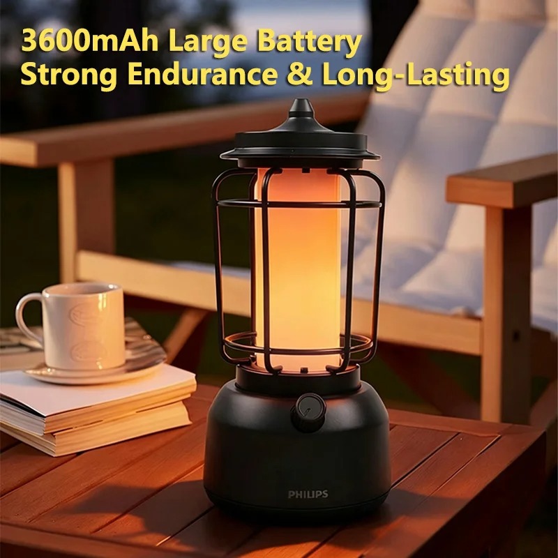Philips Model 66262 Vintage Re - огляд і ціна Outdoor Lighting Philips