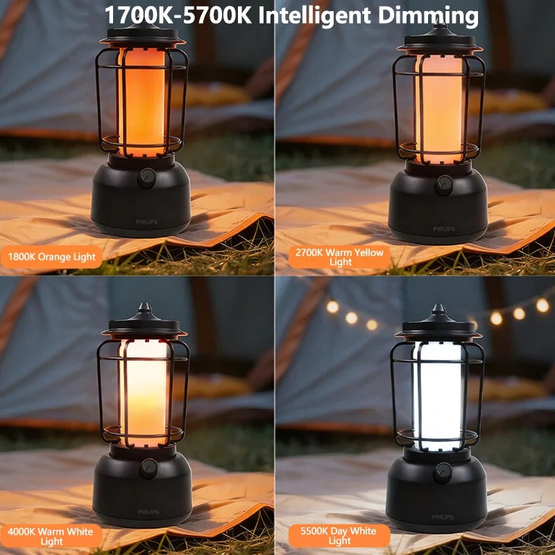 Philips Model 66262 Vintage Re - огляд і ціна Outdoor Lighting Philips